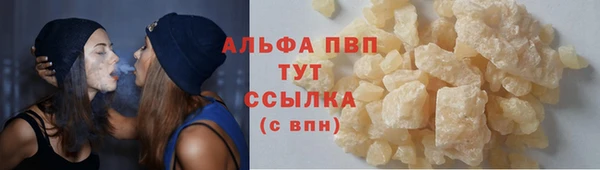 СК Покачи