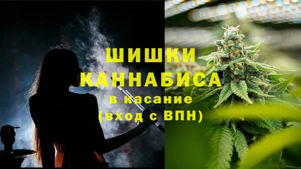 СК Покачи
