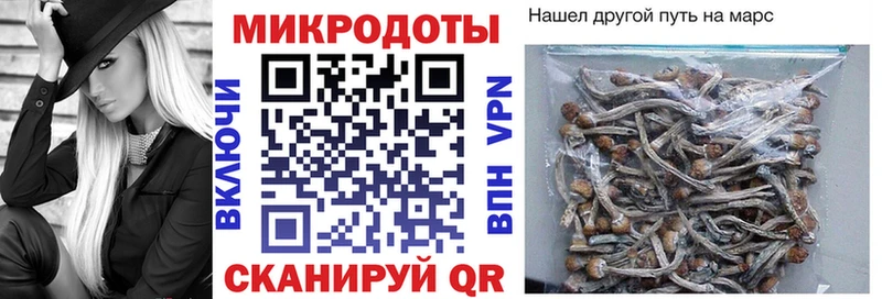 мега маркетплейс  Донской  площадка официальный сайт  Галлюциногенные грибы Magic Shrooms 