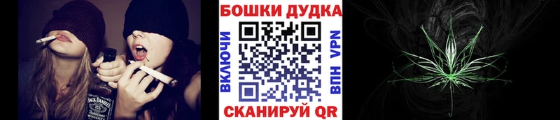 Конопля семена  наркота  Донской 